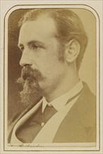Man with a Vandyke Beard in Profile; Oscar Gustave Rejlander, British, born Sweden, 1813 - 1875, about 1864; Albumen silver
