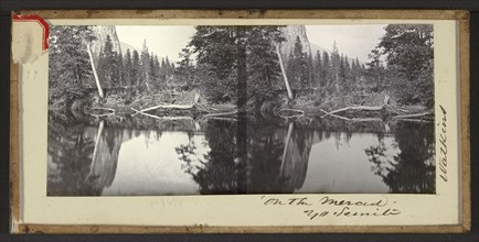 On the Merced' Yo Semite; Carleton Watkins, American, 1829 - 1916, 1861; Stereograph, glass; 6.4 x 14.4 cm 2 1,2 x 5 11,16 in