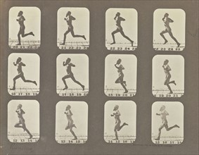 Male Runner; Eadweard J. Muybridge, American, born England, 1830 - 1904, negative1878 - 1879; print 1881 ?; Iron salt process