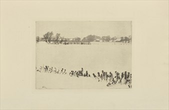 Marsh Weeds; Peter Henry Emerson, British, born Cuba, 1856 - 1936, London, England; 1895; Photogravure; 10.2 × 14.3 cm