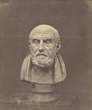 Bust of Chrysippus; Roger Fenton, English, 1819 - 1869, about 1856; Salted paper print; 32.3 x 27 cm 12 11,16 x 10 5,8 in