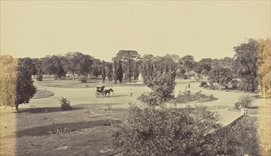 Lucknow; A View in the Wingfield Park; Samuel Bourne, English, 1834 - 1912, Lucknow, India; 1865 - 1866; Albumen silver print