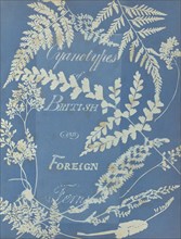 Cyanotypes of British and Foreign Ferns; Anna Atkins, British, 1799 - 1871, England; 1853; Cyanotype; 25.4 × 19.4 cm