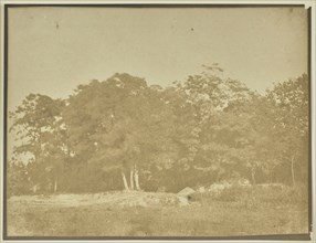 Landscape with Trees and Field; Attributed to M.H. Nevil Story-Maskelyne, British, 1823 - 1911, England; about 1845–1855