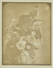 Vase of flowers; Hippolyte Bayard, French, 1801 - 1887, 1847; Salted paper print; 16.5 x 12.9 cm 6 1,2 x 5 1,16 in