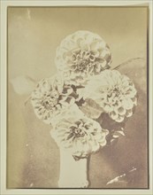 Flowers in a Vase; Hippolyte Bayard, French, 1801 - 1887, about 1845 - 1849; Salted paper print; 16.7 x 12.9 cm