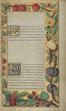 Decorated Text Page; Tours, France; about 1528 - 1530; Tempera colors and gold paint on parchment; Leaf: 16.5 x 10.3 cm