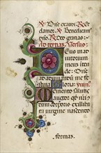 Decorated Initial D; Decorated Initial M; Ferrara, Emilia-Romagna, Italy; about 1469; Tempera colors, gold paint, gold leaf