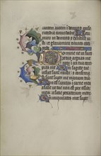 Decorated Initial D; Master of Guillebert de Mets, Flemish, active about 1410 - 1450, Ghent, probably, Belgium; about 1450