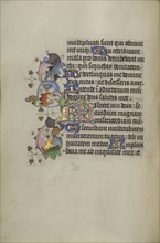 Decorated Initial M; Ghent, probably, Belgium; about 1450 - 1455; Tempera colors, gold leaf, and ink on parchment