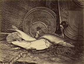 Still Life with Carp and Pike; Henry Bailey, English, active late 1860s, 1869; Albumen silver print
