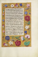 Decorated Text Page; Ghent, Belgium; about 1510 - 1520; Tempera colors, gold, and ink on parchment; Leaf: 23.2 x 16.7 cm