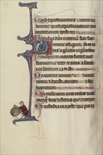 Initial D; Bute Master, Franco-Flemish, active about 1260 - 1290, Paris, written, France; illumination about 1270 - 1280