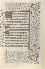 Decorated Text Page; Paris, France; about 1415 - 1420; Tempera colors, gold paint, gold leaf, and ink on parchment