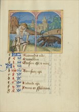June Calendar Page; Mowing; Cancer; Strasbourg, France; early 16th century; Tempera colors on parchment; Leaf: 13.5 × 10.5 cm