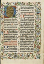 Decorated Initial D; Westphalia, Germany; about 1500 - 1505; Tempera colors, gold paint, and ink on parchment; Leaf: 38.7 x 27.9