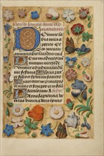 Decorated Initial D; Bruges, Belgium; about 1480–1485 ?; Tempera colors and gold on parchment; Ms. 23, fol. 14