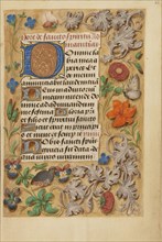 Decorated Initial D; Bruges, Belgium; about 1480 - 1485 ?; Tempera colors and gold on parchment; Leaf: 20.5 x 14.8 cm