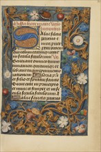 Decorated Initial S; Bruges, Belgium; about 1480 - 1485 ?; Tempera colors and gold on parchment; Leaf: 20.5 x 14.8 cm