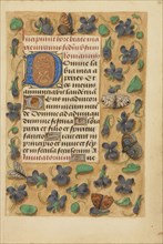 Decorated Initial D; Bruges, Belgium; about 1480 - 1485 ?; Tempera colors and gold on parchment; Leaf: 20.5 x 14.8 cm