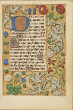 Decorated Initial D; Bruges, Belgium; about 1480 - 1485 ?; Tempera colors and gold on parchment; Leaf: 20.5 x 14.8 cm