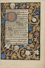 Decorated Initial D; Bruges, Belgium; about 1480 - 1485 ?; Tempera colors and gold on parchment; Leaf: 20.5 x 14.8 cm