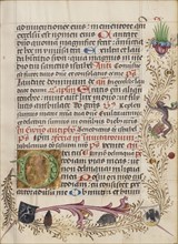 Decorated Initial D; Salzburg, Austria; about 1485; Tempera colors, gold leaf, and ink on parchment; Leaf: 17.6 x 13 cm