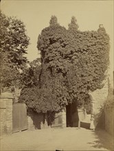 Gated Arch covered in Vegetation; Attributed to Felice Beato, 1832 - 1909, 1860; Albumen silver print
