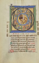 Initial D: The Lion of Judah; Hildesheim, Germany; probably 1170s; Tempera colors, gold leaf, silver leaf, and ink on parchment