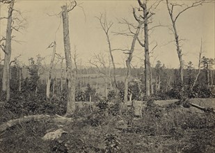 Battle Ground of Resacca, Georgia, No. 3; George N. Barnard, American, 1819 - 1902, New York, United States; negative