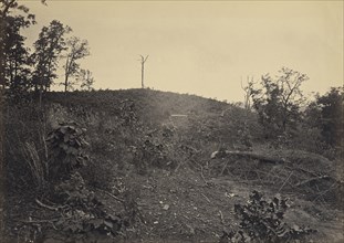 Pine Mountain; George N. Barnard, American, 1819 - 1902, New York, United States; negative about 1865; print 1866; Albumen