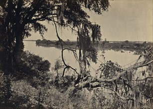 Savannah River, Near Savannah Georgia; George N. Barnard, American, 1819 - 1902, New York, United States; negative about 1865