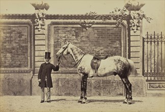 Cheval de chasse du Prince de Sagan; Louis-Jean Delton, French, 1807 - 1891, Paris, France; 1865; Albumen silver print