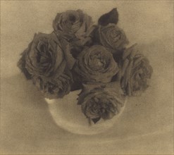 Roses in a Crystal Vase; Heinrich Kühn, Austrian, born Germany, 1866 - 1944, Austria; about 1910; Gum bichromate print