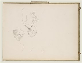Sketches of a Café Singer; Edgar Degas, French, 1834 - 1917, 1877; Graphite; 26 x 34.9 cm, 10 1,4 x 13 3,4 in
