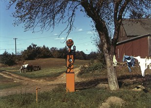 Rural Scene, Near Andover, Maine; Jack Delano, American, born Russia, 1914 - 1997, Maine, United States; negative 1940; print
