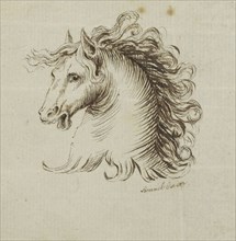 Head of a Horse; Samuel H. Owen; England; 1843 - 1845; Drawing in black ink; 7.5 x 7.1 cm, 2 15,16 x 2 13,16 in