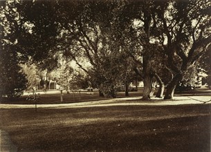 Thurlow Lodge - Lawn View; Carleton Watkins, American, 1829 - 1916, San Mateo, California, United States; 1874; Albumen silver