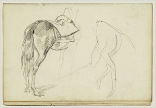 Horse Studies; Théodore Géricault, French, 1791 - 1824, 1812 - 1814; Graphite; 15.2 x 10.6 cm, 6 x 4 3,16 in
