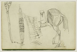 Horse Studies and Tassels; Théodore Géricault, French, 1791 - 1824, 1812 - 1814; Graphite; 15.2 x 10.6 cm, 6 x 4 3,16 in