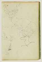 Studies of a Seated Stag, a Fawn, and a Goat Head; Théodore Géricault, French, 1791 - 1824, 1812 - 1814; Graphite; 15.2 x 10.6
