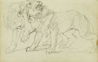 Pair of Lions; Théodore Géricault, French, 1791 - 1824, 1812 - 1814; Graphite; 15.2 x 10.6 cm, 6 x 4 3,16 in