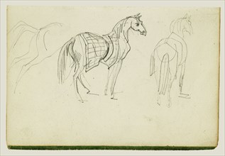 Three Horse Studies; Théodore Géricault, French, 1791 - 1824, 1812 - 1814; Graphite; 15.2 x 10.6 cm, 6 x 4 3,16 in