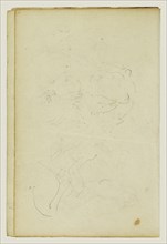 Sketches of Head and Hind Legs of a Lion; Théodore Géricault, French, 1791 - 1824, 1812 - 1814; Graphite; 15.2 x 10.6 cm