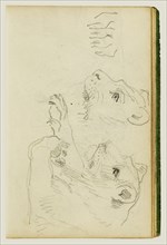 Studies of the Head and Forelegs of a Lioness; Théodore Géricault, French, 1791 - 1824, 1812 - 1814; Graphite; 15.2 x 10.6 cm