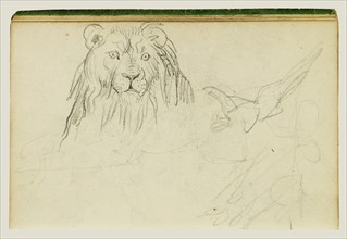 Head-On View of Seated Lion; Théodore Géricault, French, 1791 - 1824, 1812 - 1814; Graphite; 15.2 x 10.6 cm, 6 x 4 3,16 in