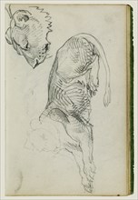 Seated Lion, Head of Lioness; Théodore Géricault, French, 1791 - 1824, 1812 - 1814; Graphite; 15.2 x 10.6 cm, 6 x 4 3,16 in