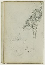 Four Lion Studies; Théodore Géricault, French, 1791 - 1824, 1812 - 1814; Graphite; 15.2 x 10.6 cm, 6 x 4 3,16 in
