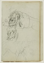 Three Lion Studies; Théodore Géricault, French, 1791 - 1824, 1812 - 1814; Graphite; 15.2 x 10.6 cm, 6 x 4 3,16 in