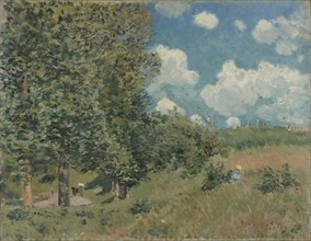 The Road from Versailles to Saint-Germain; Alfred Sisley, English, 1839 - 1899, 1875; Oil on canvas; 51.1 × 65.1 cm